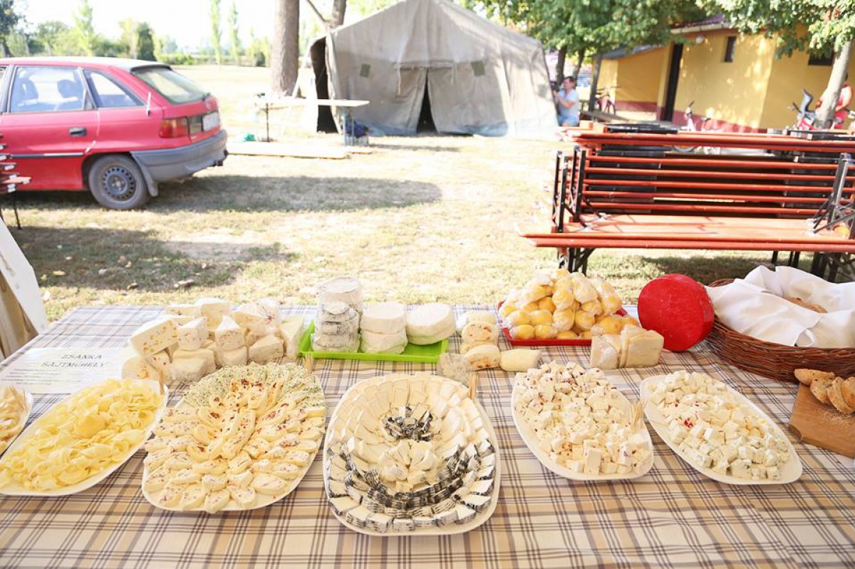 Sütiversennyel újított, díszpolgárt ünnepelt Szakmár