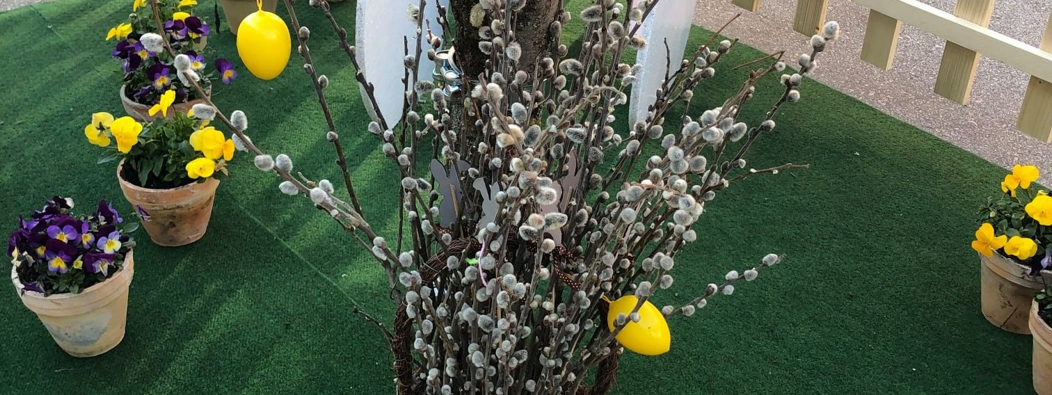 A nagyhétre ünnepi díszbe öltözött Kalocsa – Vedd ki a részed a húsvéti tojásfa dekorálásából!