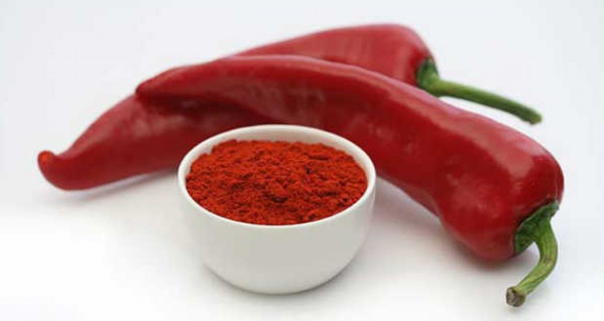 Agrár-Hungarikum Konferencia Kalocsán, szeptember 10-én  – A városi önkormányzat és a Kalocsai Innovációs Központ szervezi 