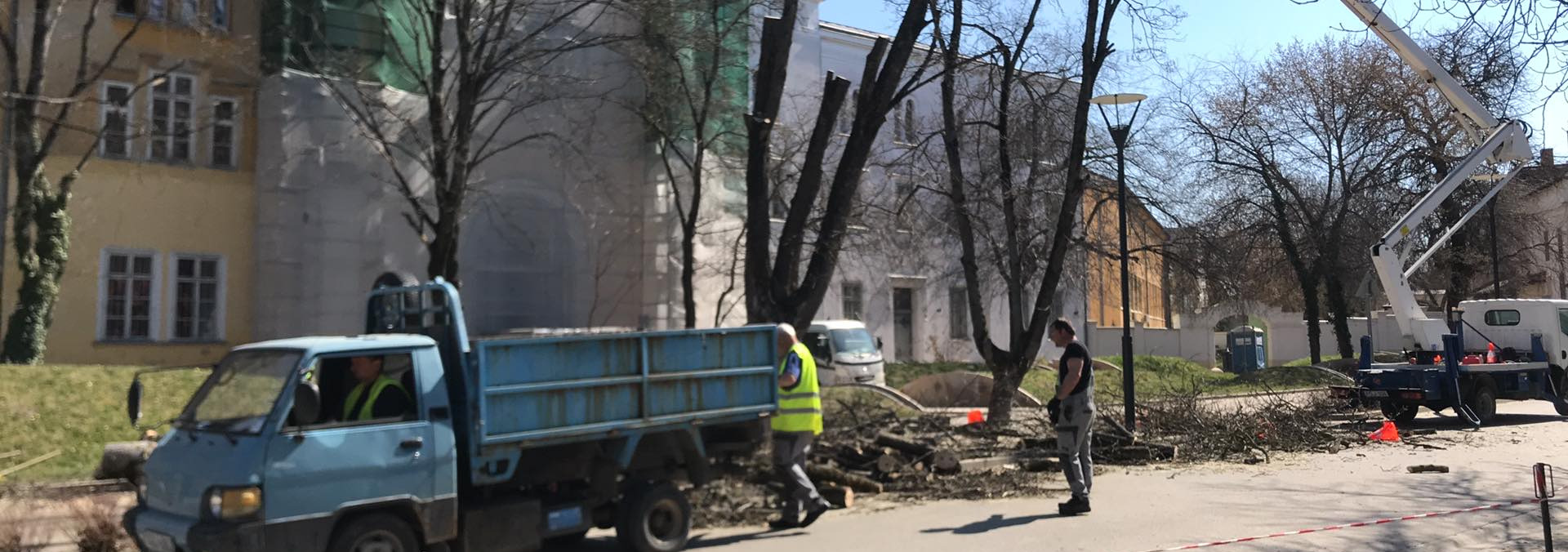 Ütemesen haladnak a fagondozási munkákkal – Három fát kivágnak, hatot ültetnek az Asztrik téren