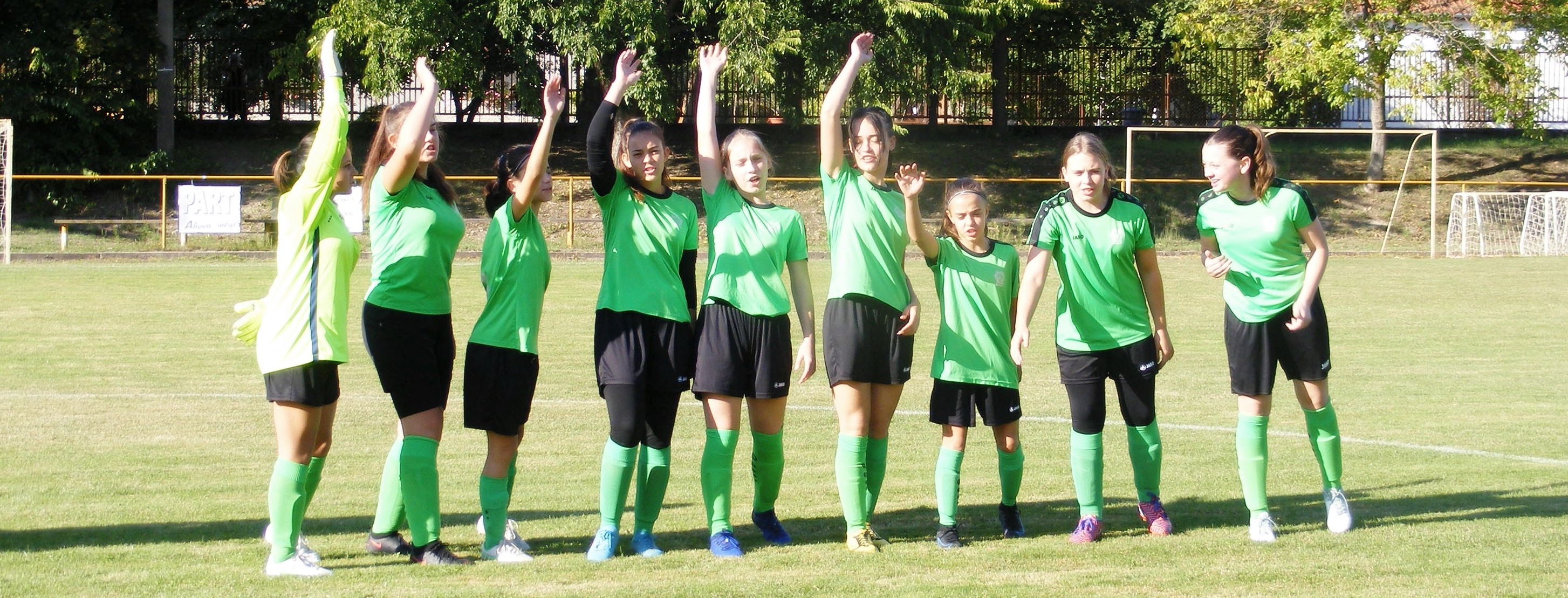 A Paks-Kalocsa vegyescsapat 12-1-re verte a Csepelt