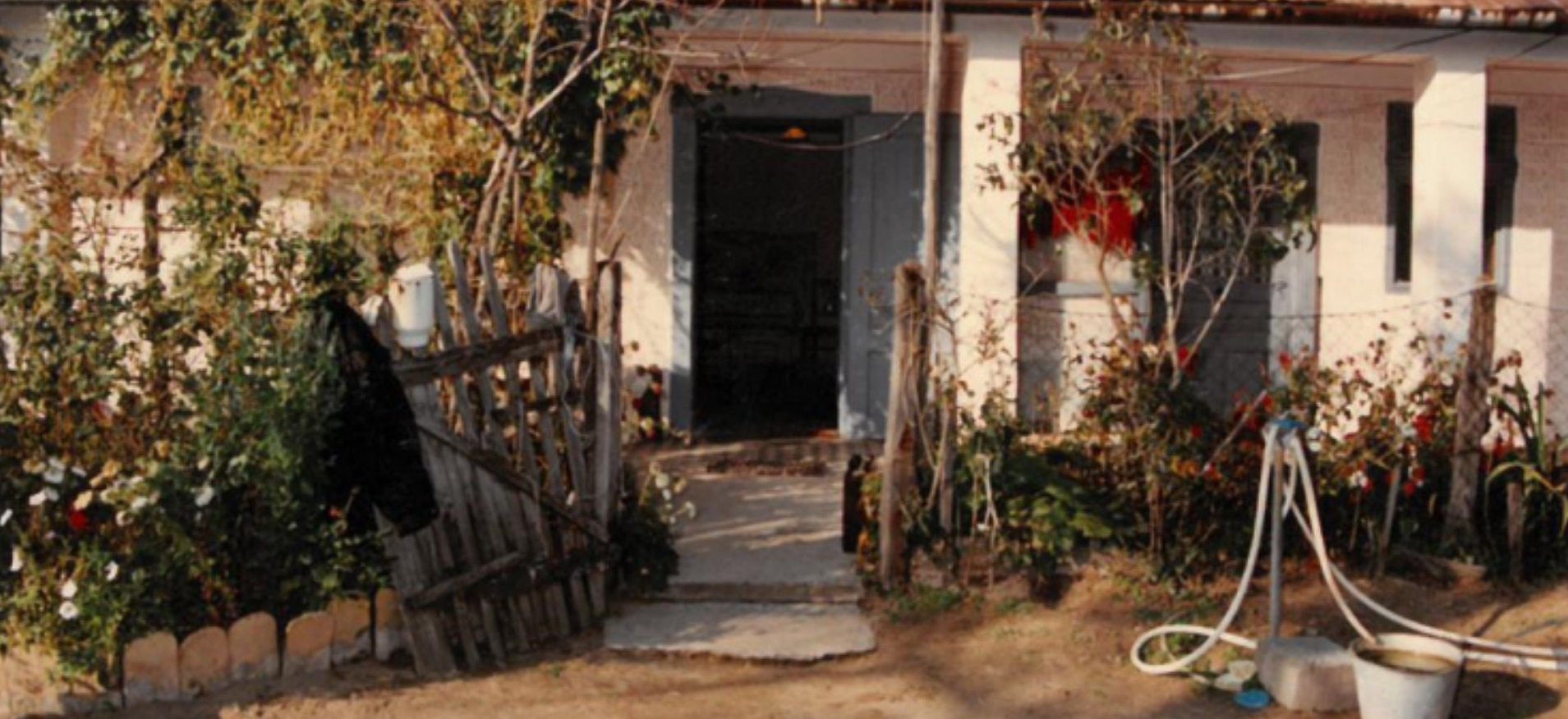 Vádat emeltek a román baltás gyilkosok ellen – Soltvadkerti nő volt az áldozat