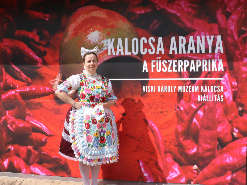 Ünnepélyesen megnyitották a Kalocsa Aranya – a fűszerpaprika című állandó kiállítást