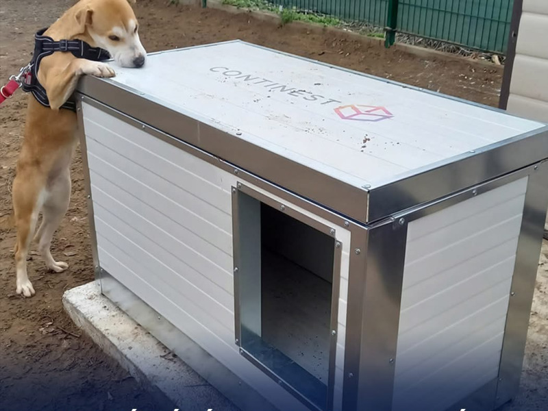 Meleg menedék a négylábúaknak: ingyenes kutyaházakra pályázhatnak az állatvédők