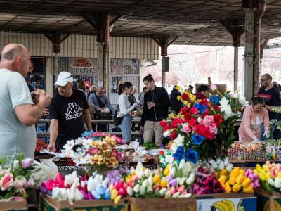 Húsvéti hangulat, helyi értékek és közösségi élmény – érkezik a IV. Húsvéti Kultúrpiac Kalocsára