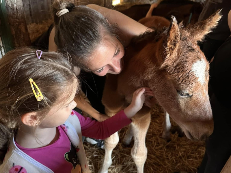 Tavaszindító kalandok várják a családokat Öregcsertőn