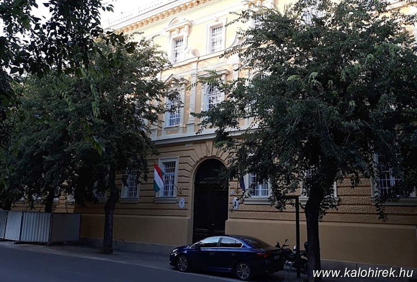 Mi legyen a „berkenyékkel”? – Szerdán lesz a lakossági fórum a főutcai fasor sorsáról